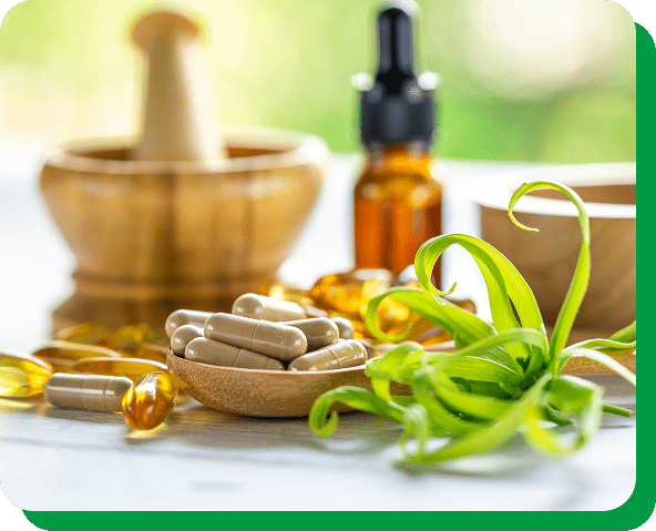 Producing Wide Range of Ayurvedic Products - Wilson Drugs