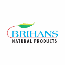 Top Ayurvedic Companies in Pune