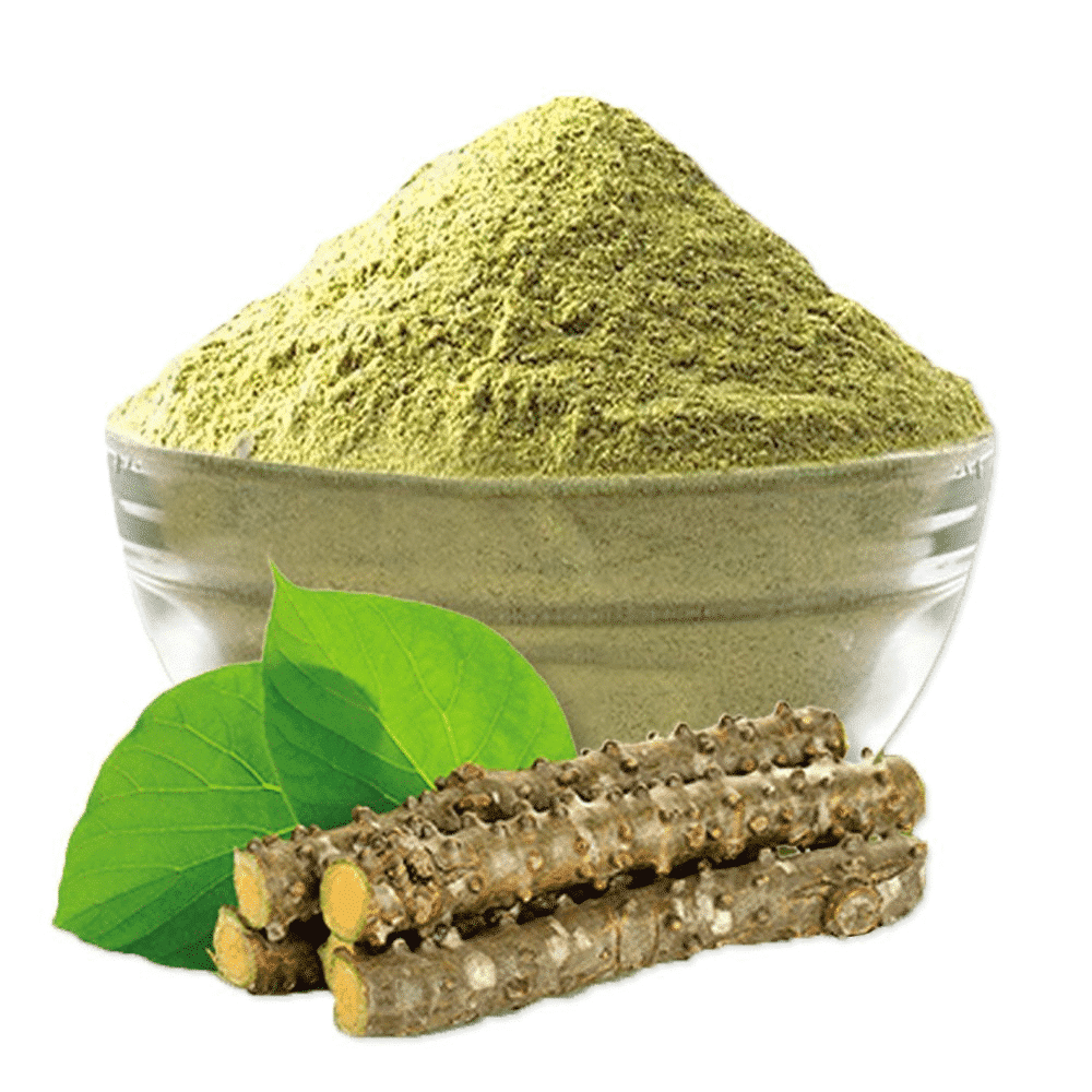 top 10 giloy powder in india