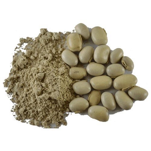 top 10 kaunch beej powders in india