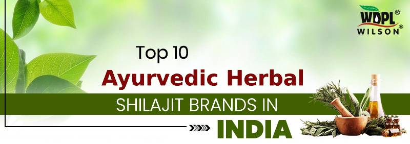 top 10 shilajit brands in india