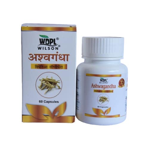 Ashwagandha Withania Somnifera Capsule
