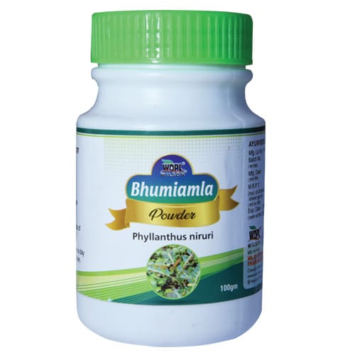 Bhumi Amla Phyllanthus Niruri Powder