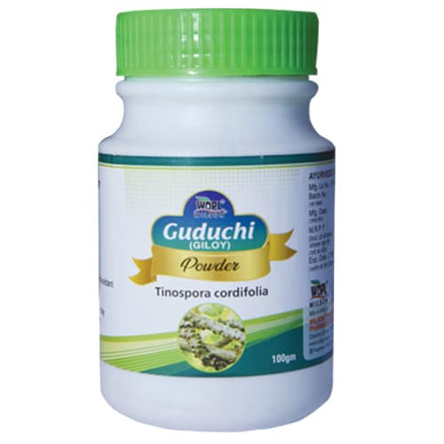 Guduchi Giloy Tinospora Cordifolia Powder