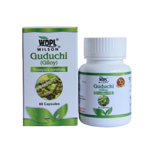 Guduchi Capsule - GILOY