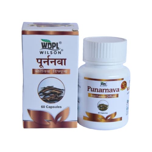 Punarnava Capsule