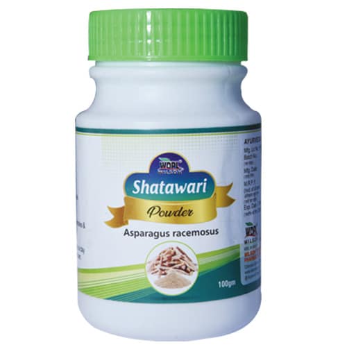 Shatavari Asparagus Racemosus Powder