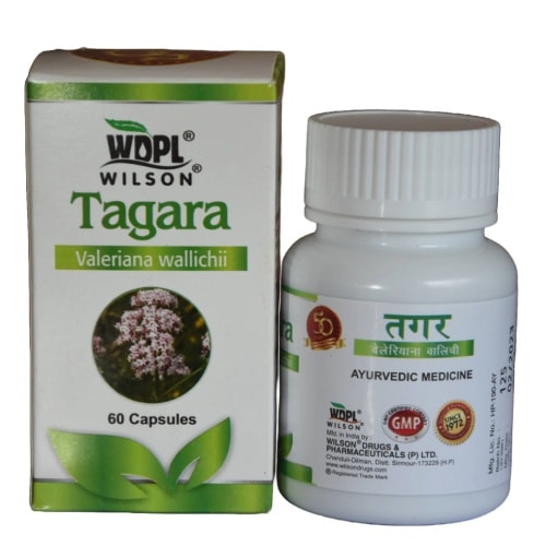 Tagara Valeriana Wallichii